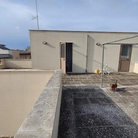 Casam Apartment